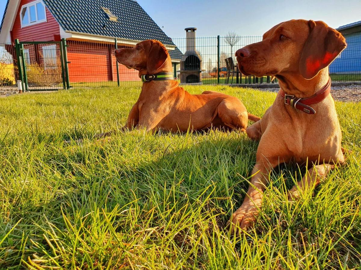 Ferienhaeuser Oberdorla Bagian luar foto