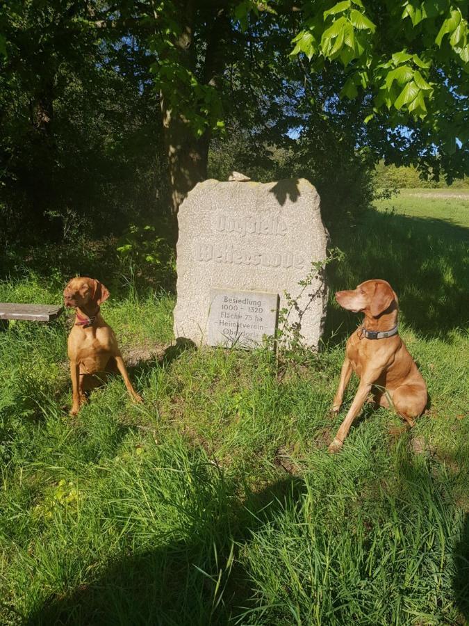 Ferienhaeuser Oberdorla Bagian luar foto