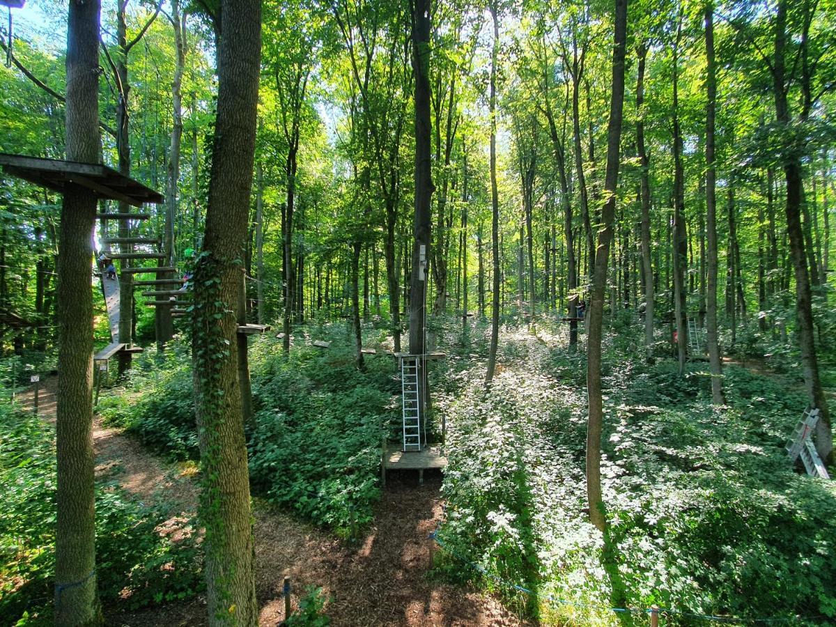 Ferienhaeuser Oberdorla Bagian luar foto
